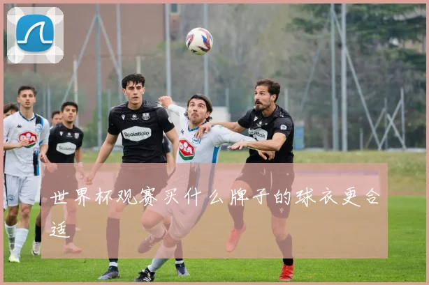 世界杯观赛买什么牌子的球衣更合适