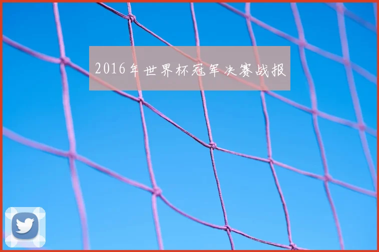 2016年世界杯冠军决赛战报