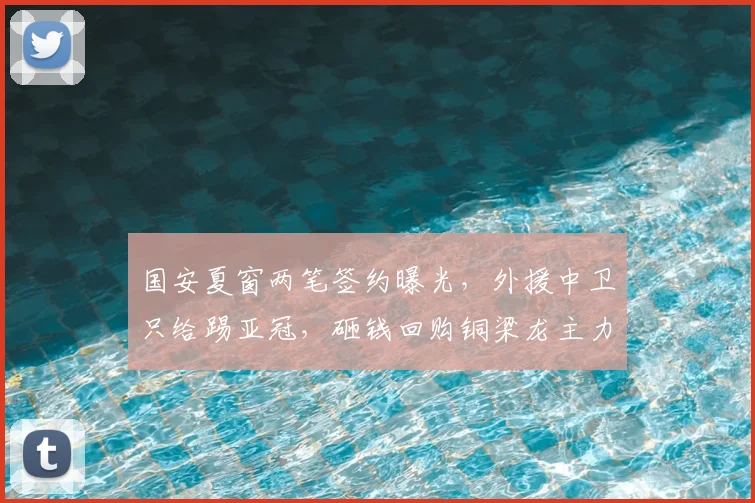 国安夏窗两笔签约曝光,外援中卫只给踢亚冠,砸钱回购铜梁龙主力_蹇韬_赛季_斯帕伊奇