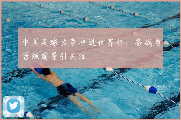 中国足球力争冲进世界杯,备战与晋级前景引关注