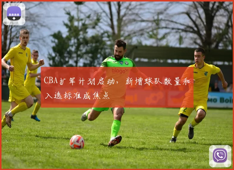 CBA扩军计划启动，新增球队数量和入选标准成焦点