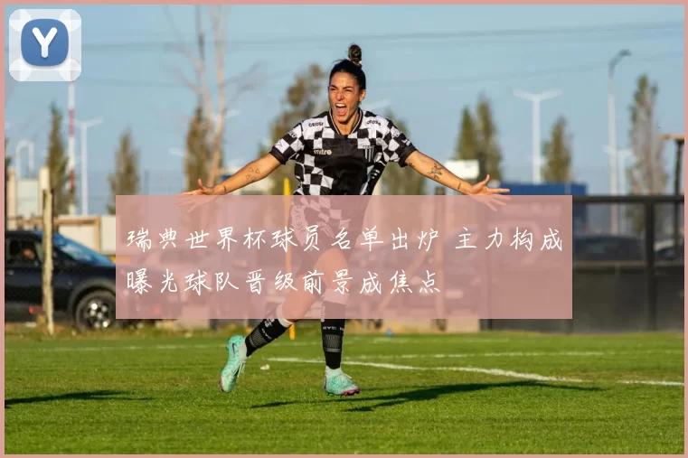 瑞典世界杯球员名单出炉 主力构成曝光球队晋级前景成焦点