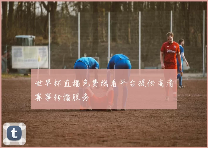 世界杯直播免费线看平台提供高清赛事转播服务